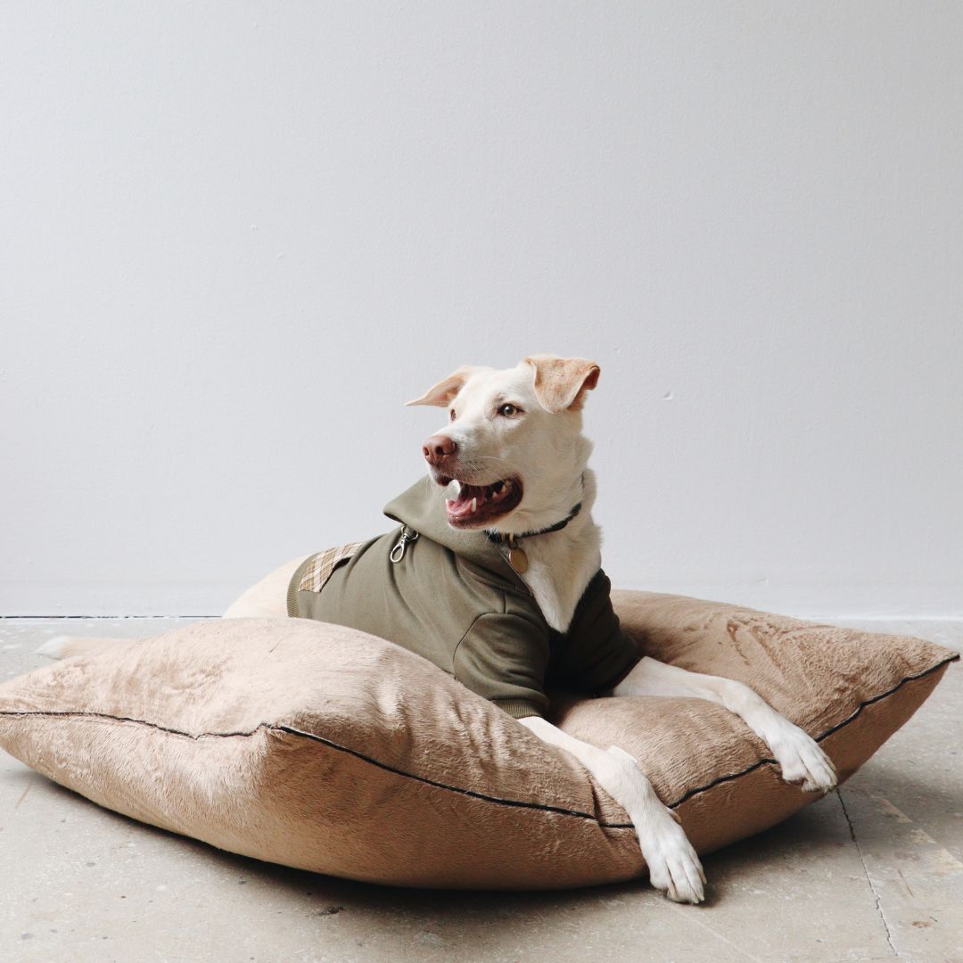 Velvet Pet Bed | Black