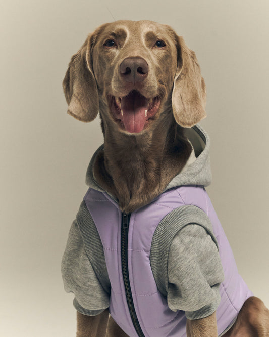 Pet Puffer Mont - Lila