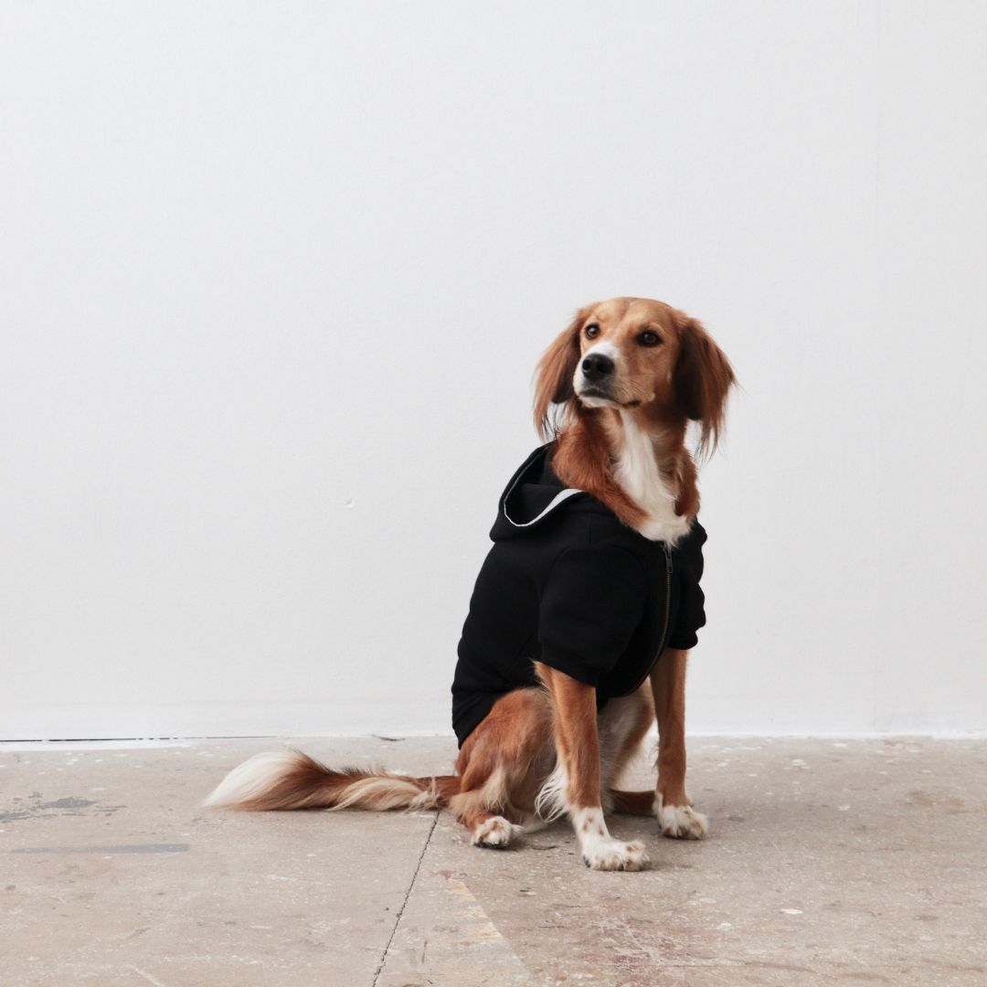MB: Scott Pet Hoodie Siyah