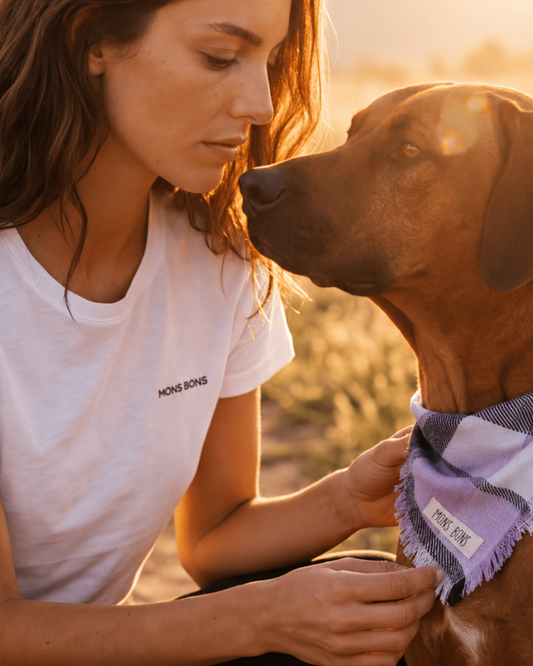 Desenli Pet Bandana | Lila