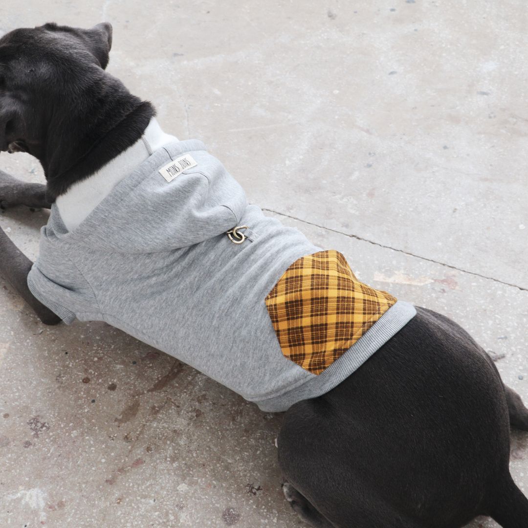 MB: Scott Pet Hoodie Gri