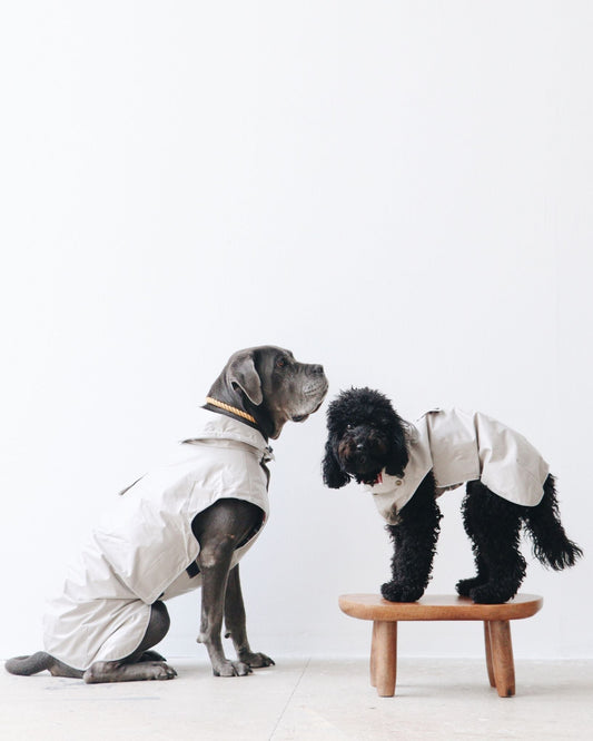 MB Raincoat - 100% Waterproof - MONS BONS