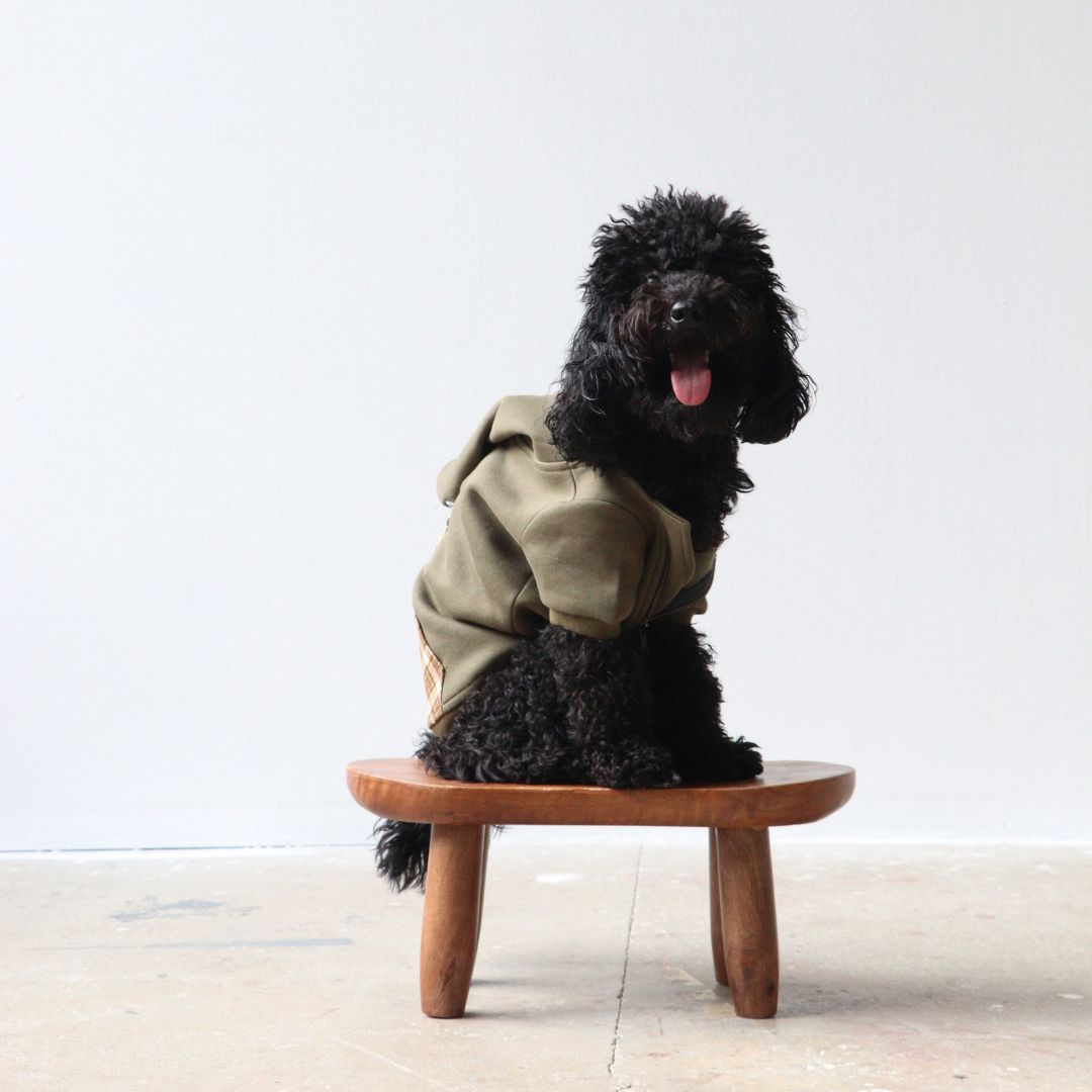 MB: Scott Pet Hoodie Haki