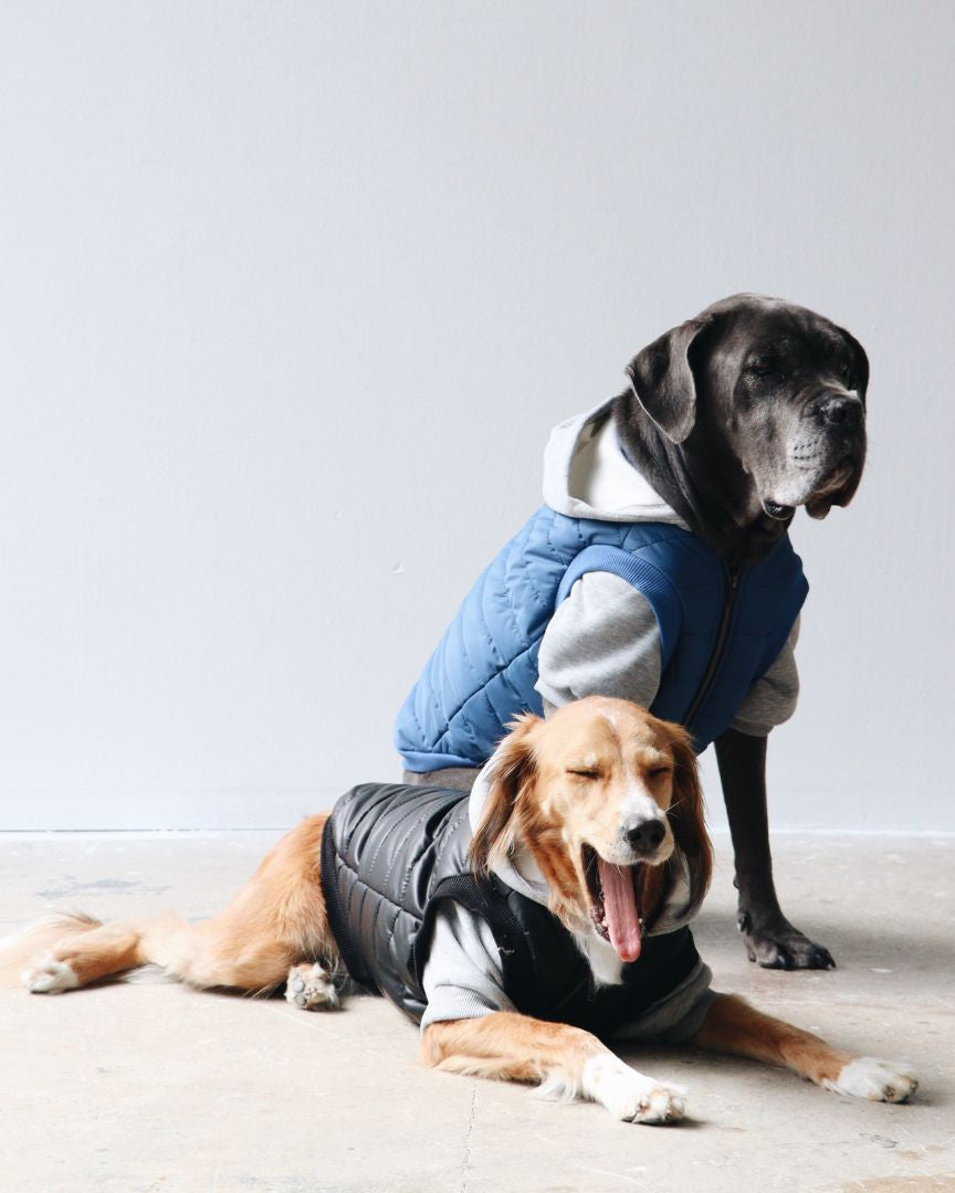 Mons Bons Puffer Mont - Siyah