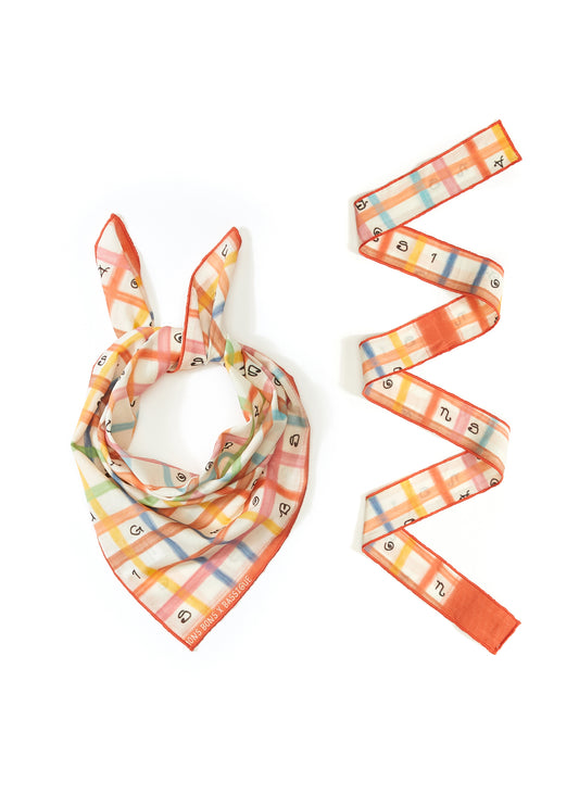 Square Print Pet Bandana & İnce Fular Set