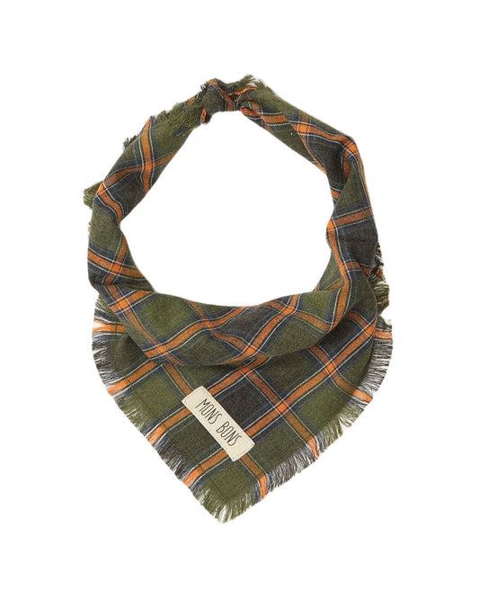 Green Pet Bandana