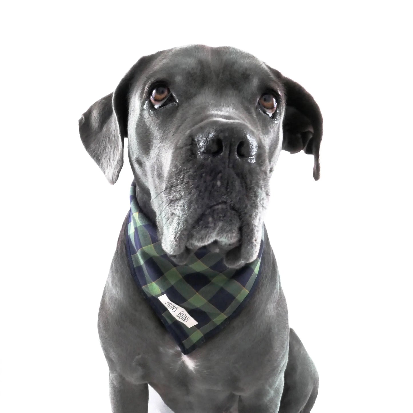 Green Checkered Pet Bandana