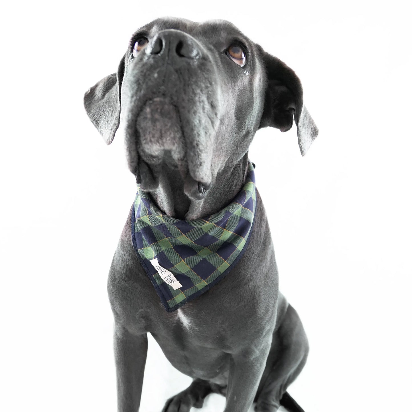 Green Checkered Pet Bandana