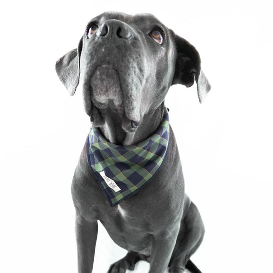 Green Checkered Pet Bandana