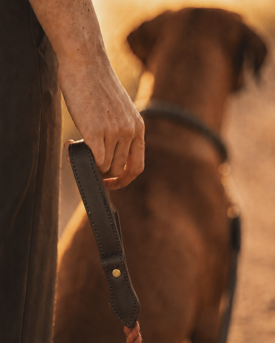 Leash | Terracotta