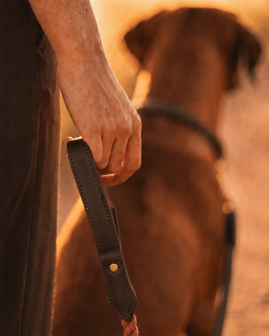 Leash | Terracotta