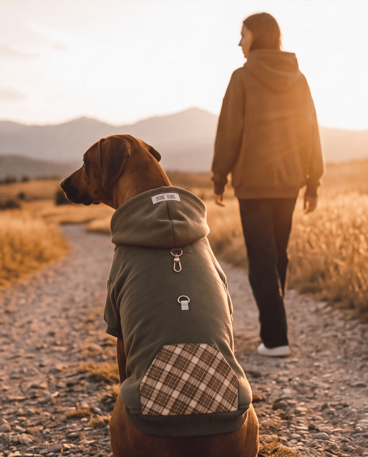 Mons Bons Pet Hoodie | Khaki