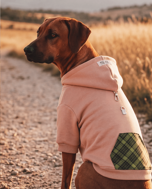 MB: Scott Pet Hoodie Pudra