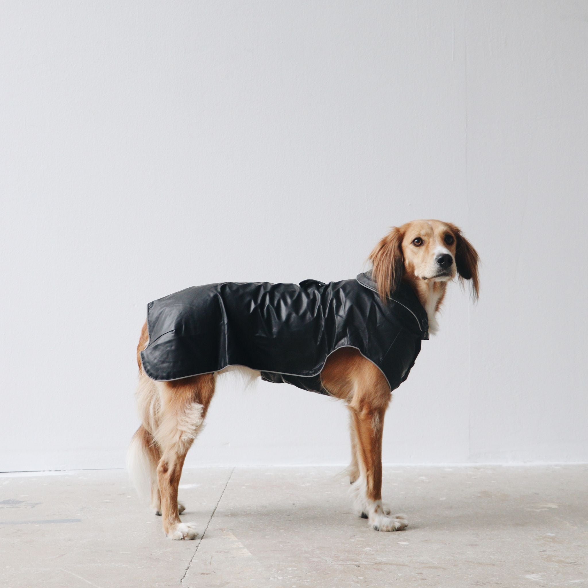 Waterproof dog clearance raincoat